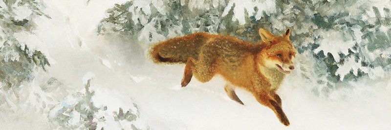 JeanneJorette's profile banner image
