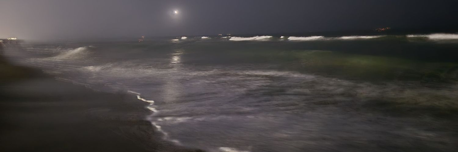 The Fromgu Princess 🧄🔗 banner