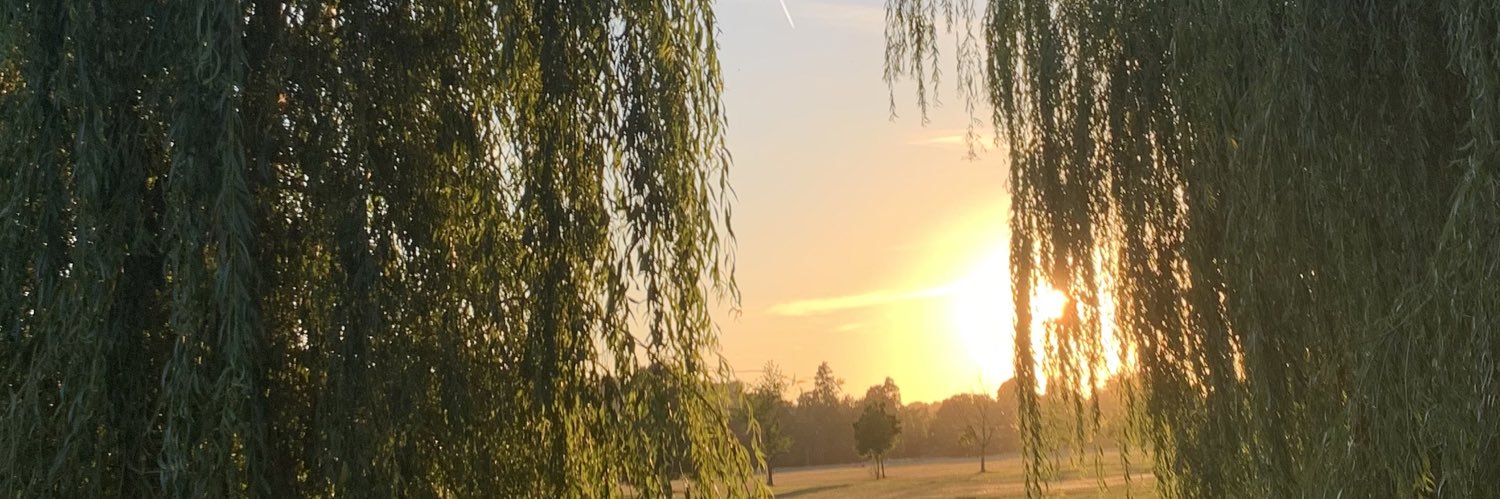 hemsa16's profile banner image