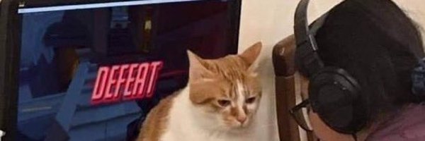 theaaronshack Profile Banner