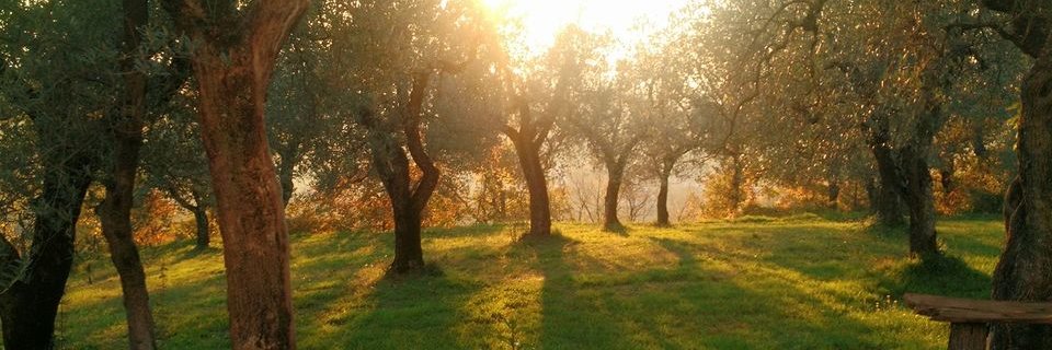 ...é yurij com i?🏴@yurijc.bsky.social banner