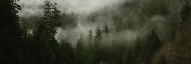 Tiastewarrt's profile banner image