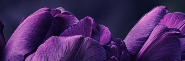 _jumiie's profile banner image