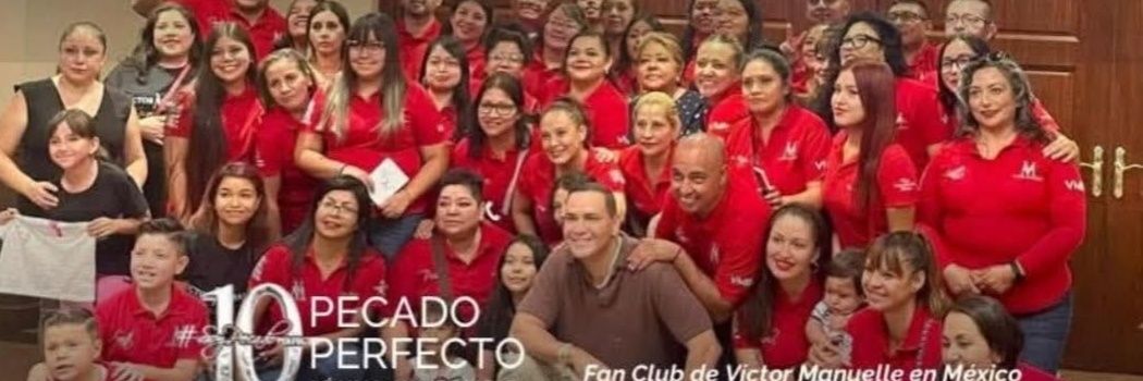 FansVMPecadoPerfecto banner