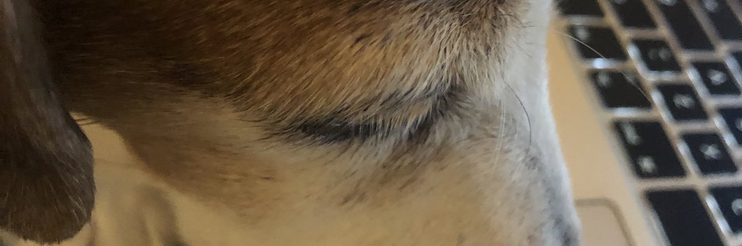 Esté de Klerk banner