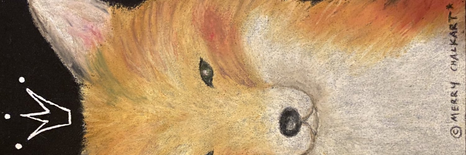 .fox@4/12第6回ボドゲ＆DJ有りなBBQ開催 来たい知り合いはDMをば banner