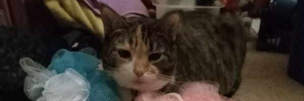 PatHeagerty Profile Banner