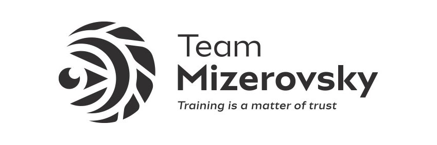 teammizerovsky's profile banner image