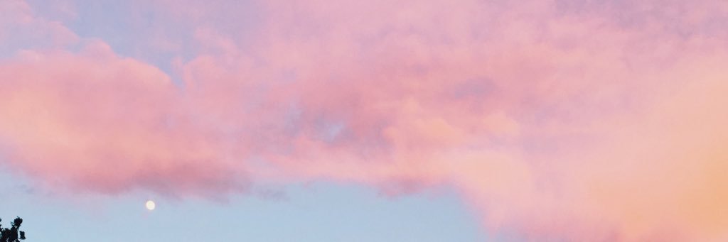 bellabrant2's profile banner image