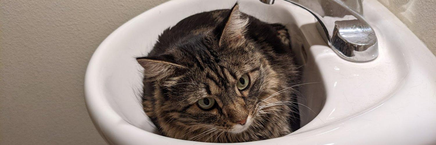 David Colborne banner