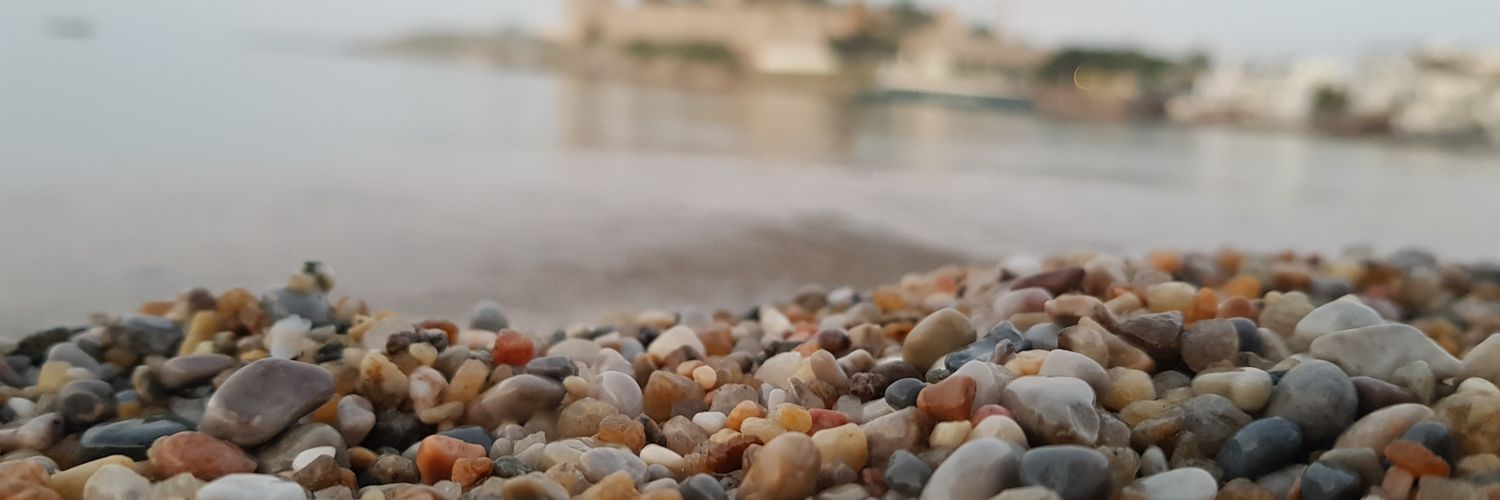 Tgcsarii's profile banner image