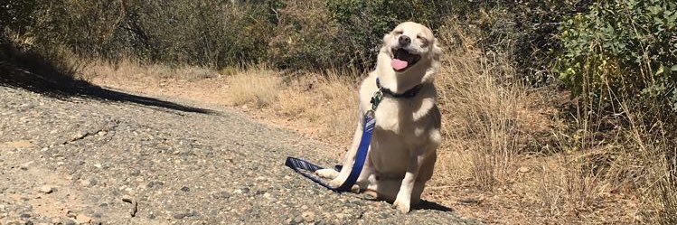 LilBiltzy's profile banner image