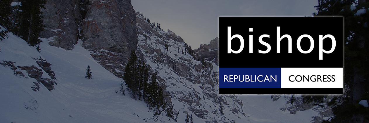 Bishop for Congress banner