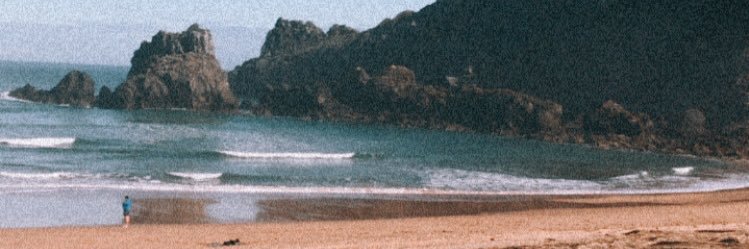 lau banner