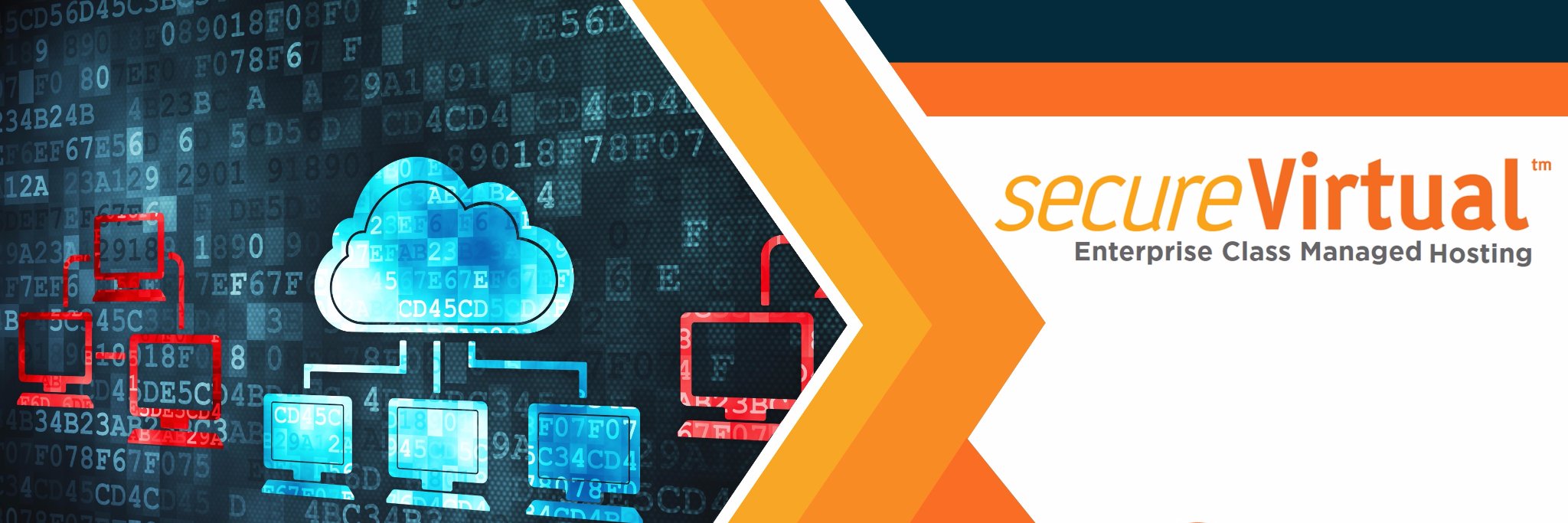 secureVirtual banner