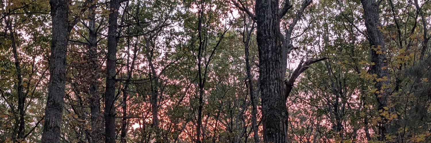 beanbun 🏳️‍⚧️ banner