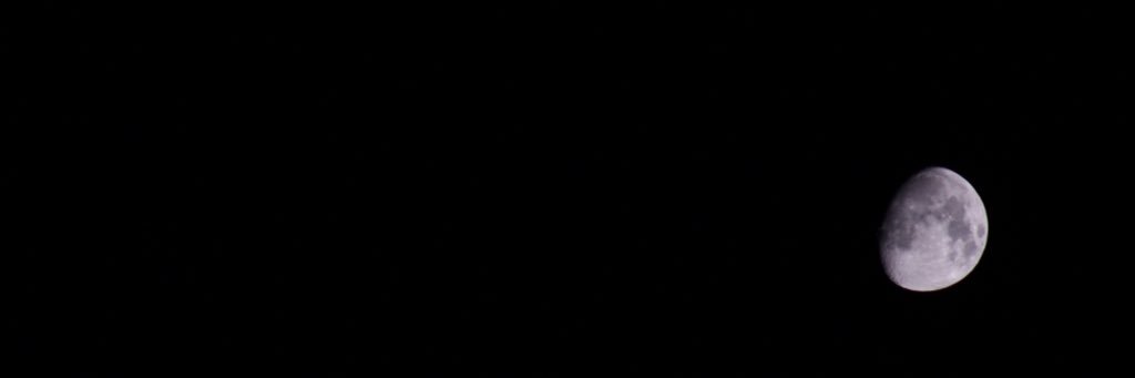 BuddAdam's profile banner image
