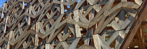 nerdfox Profile Banner