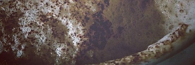 Alicebadb's profile banner image