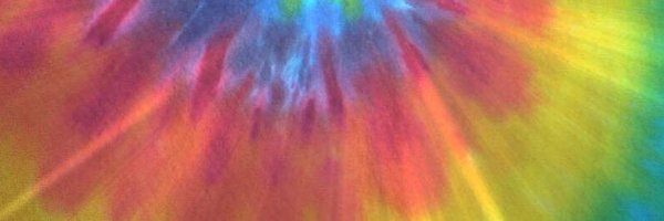 HeatherBug4 Profile Banner