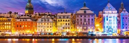 Магнолия banner