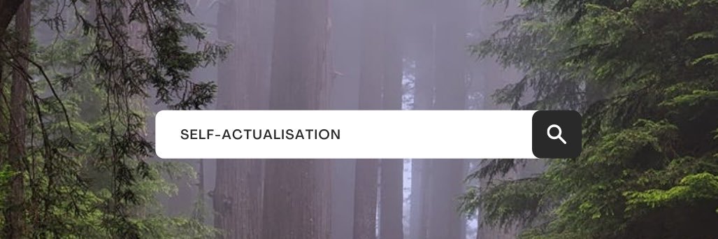 chionehardy's profile banner image