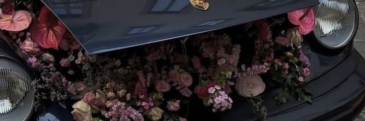 cloudyindy's profile banner image