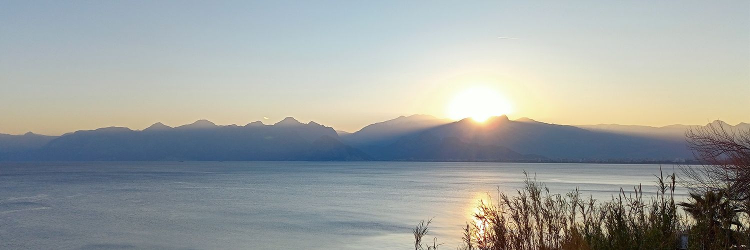 Bilsel Yılmaz banner