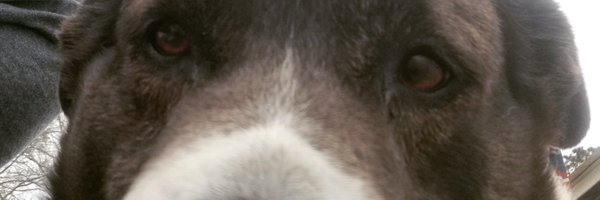 EthantheJester Profile Banner