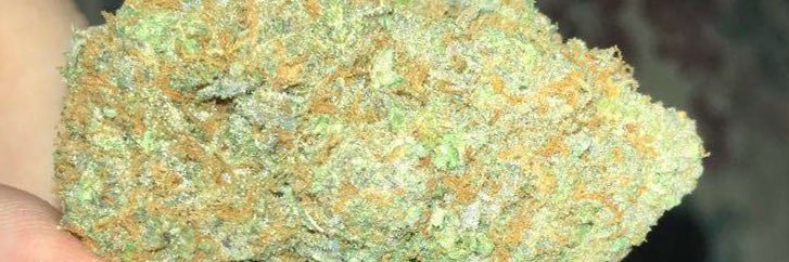 L_Ganj's profile banner image