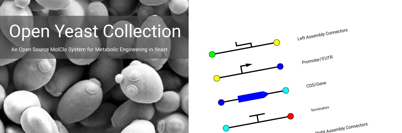 Scott in Vancouver banner