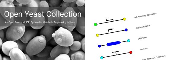 scott_van Profile Banner