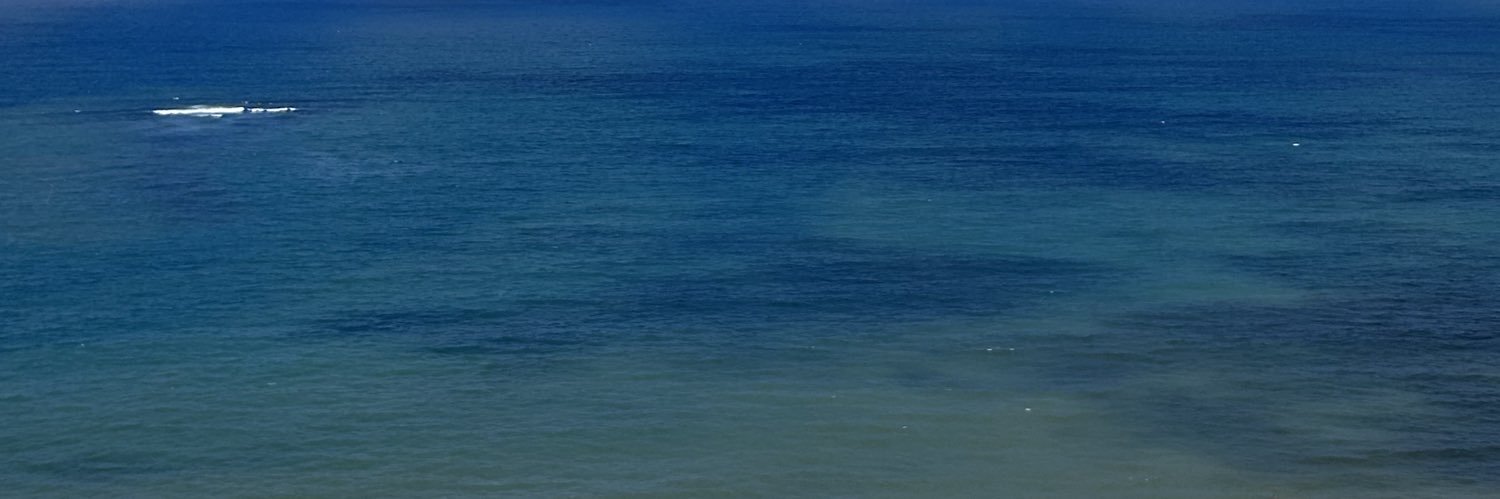 pwendtt's profile banner image