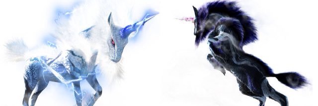 sjchrish's profile banner image