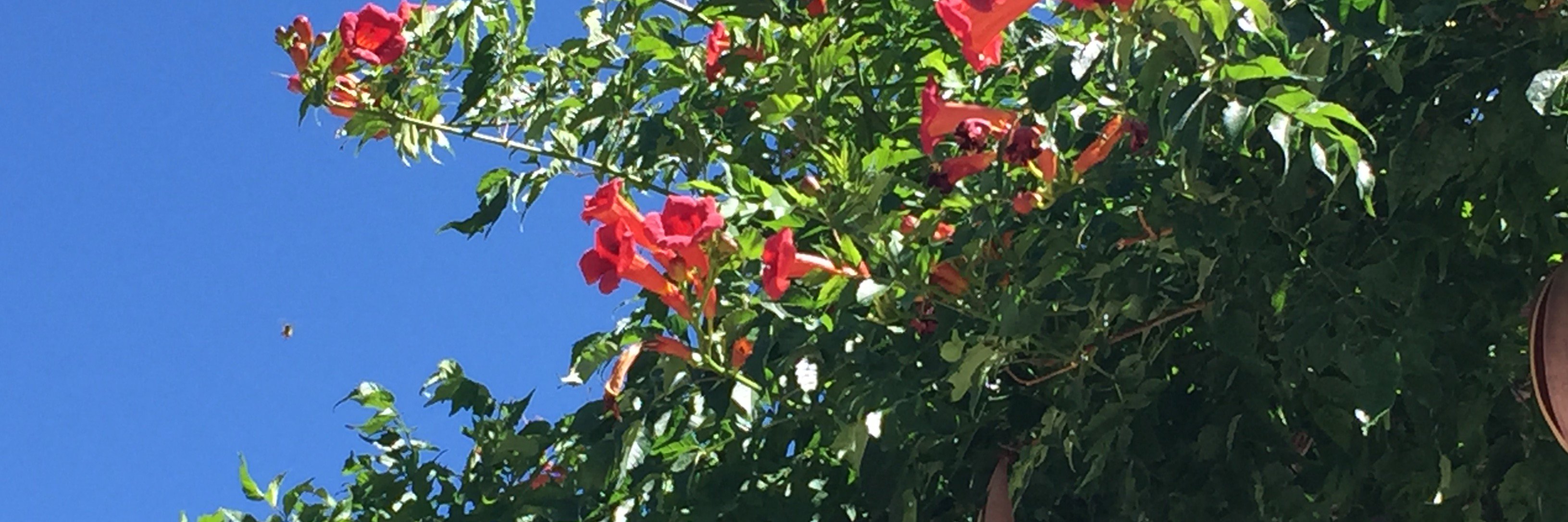 AnneDegnan's profile banner image