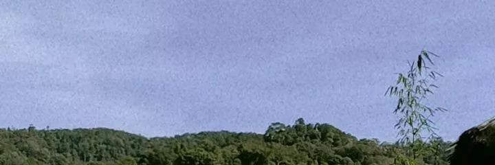 Riskifds_'s profile banner image