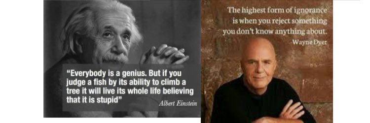 Mike Schofield banner