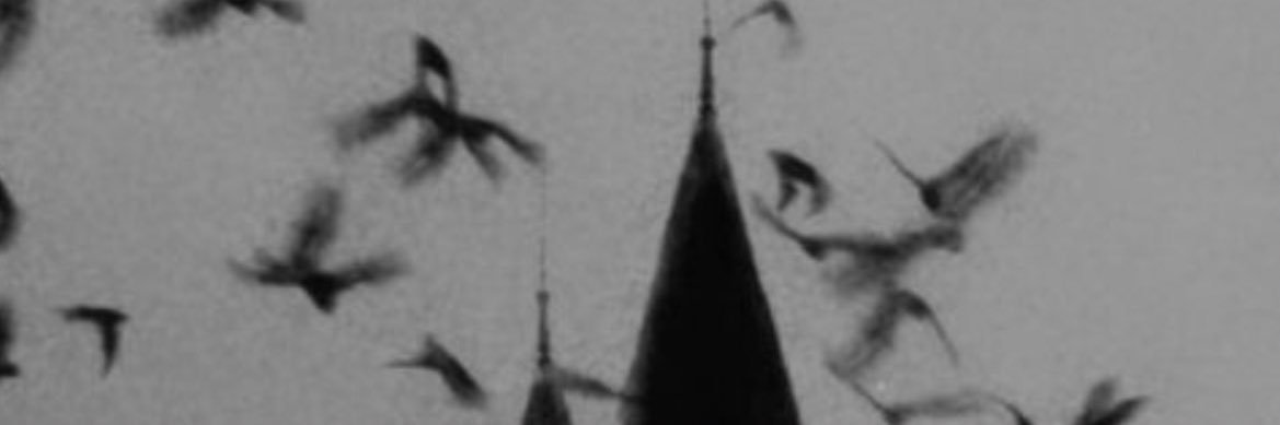celeste 🦇 banner