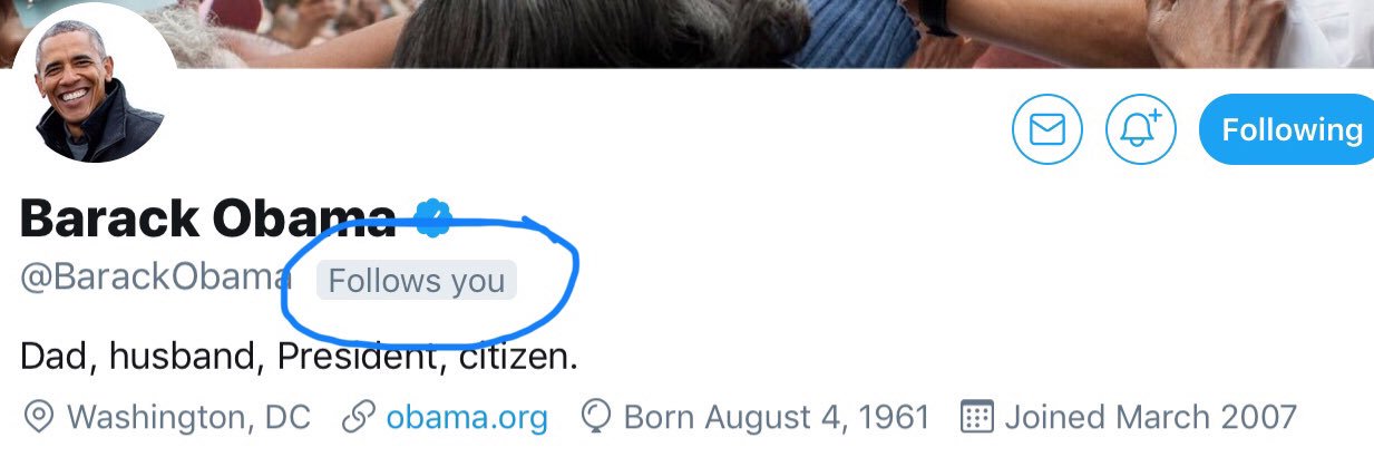 Roxanne Slane banner