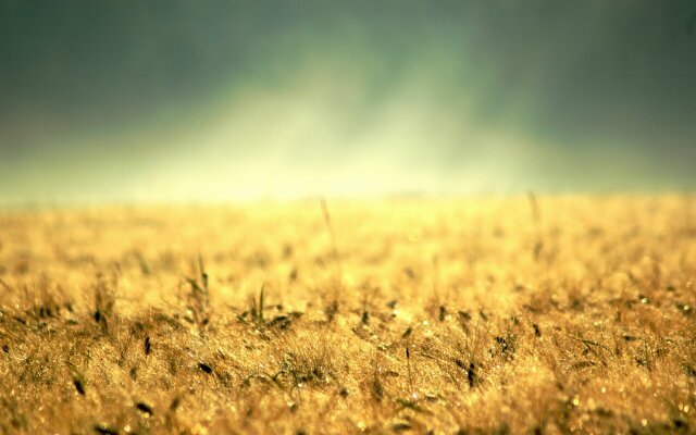 vianarmando's profile banner image