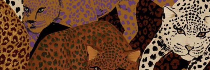 ZapatieloFran's profile banner image