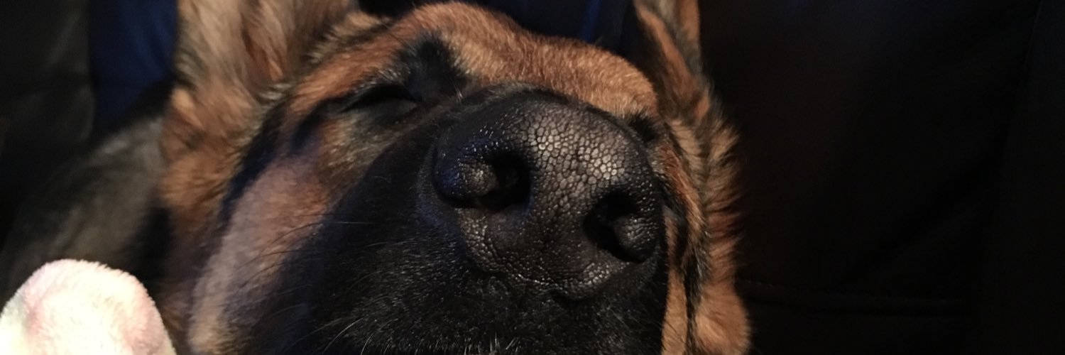 kelseyymason's profile banner image