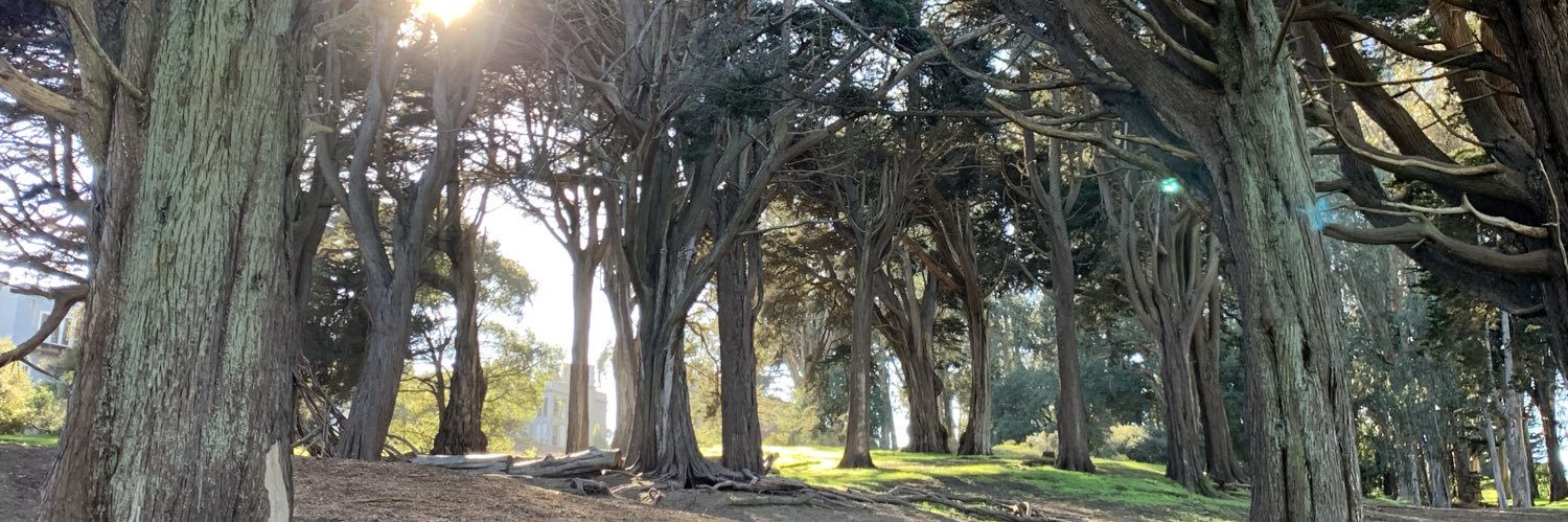 Ur_Tree's profile banner image