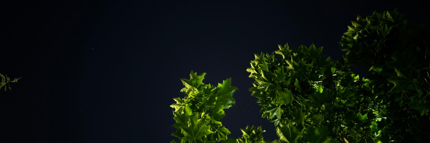 KbraTekbas's profile banner image