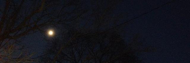 AKHseltz's profile banner image