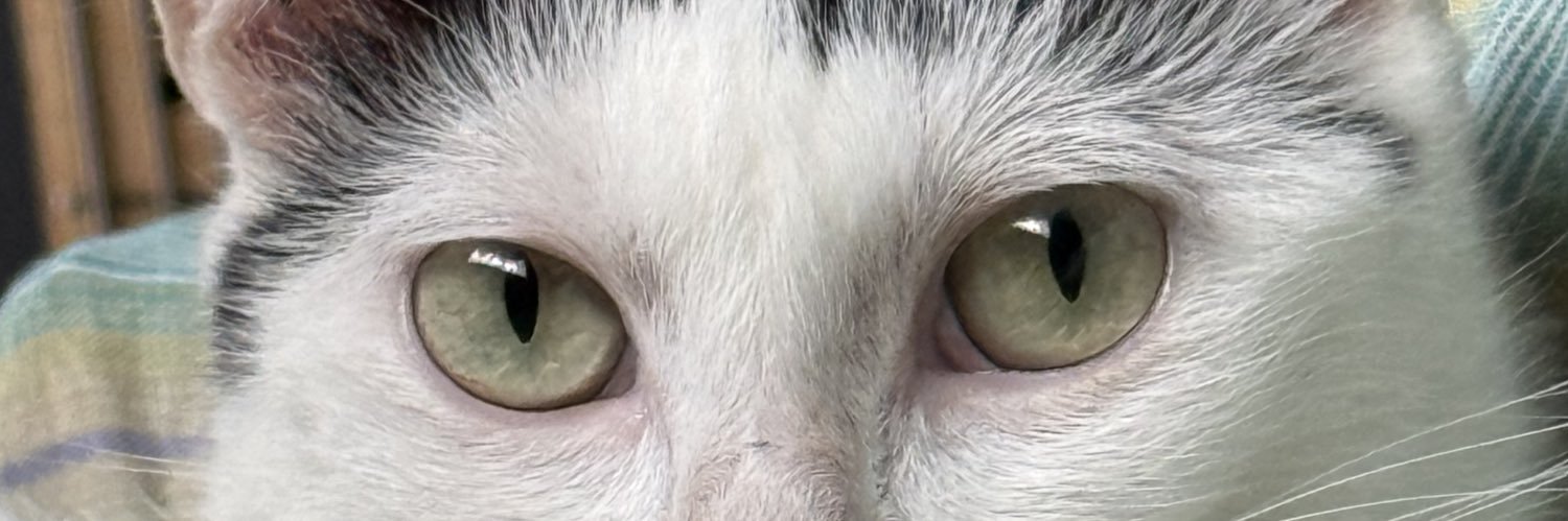 JonassRio's profile banner image