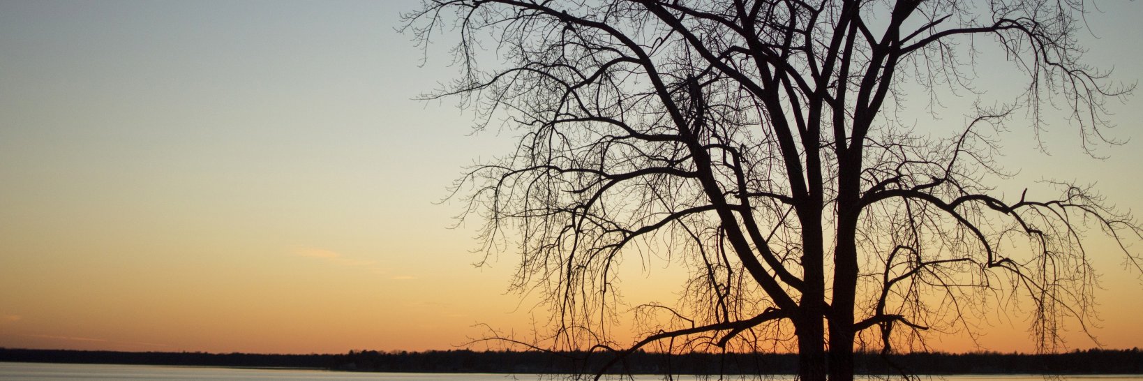 louzavm's profile banner image