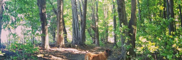 TakeALark Profile Banner