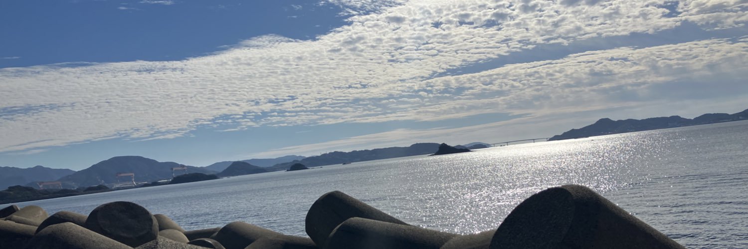 AngelNoamarry's profile banner image
