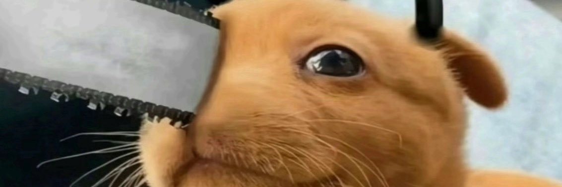 CORALraay's profile banner image
